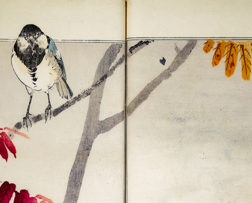 Watanabe Seitei: ​​Picture Album of Birds and Flowers (detail).