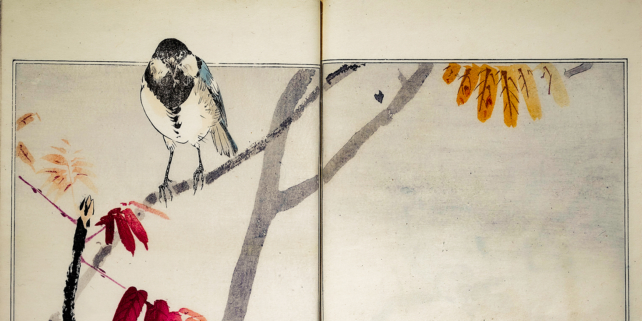 Watanabe Seitei: ​​Picture Album of Birds and Flowers (detail).