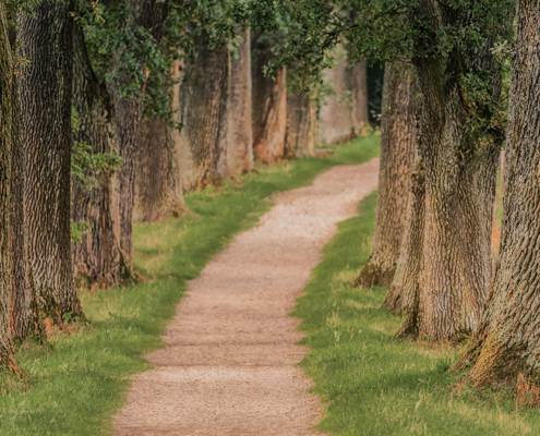 Zen Day (hybrid) – Saturday, September 9, 2023 at the Vienna Zen Center