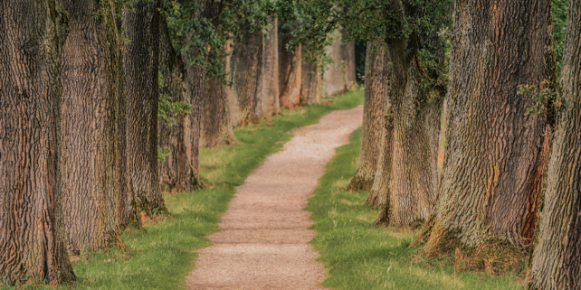 Zen Day (hybrid) – Saturday, September 9, 2023 at the Vienna Zen Center